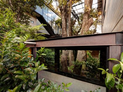 A Contemporary Glass Home Composed of Two Geometric Concrete Volumes in Mexico City by grupoarquitectura (6)