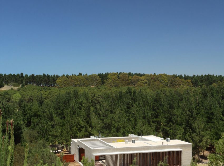 A Stunning Summer House with Concrete Pergola in the Woodland of Pinamar, Argentina by Besonias Almeida Arquitectos (2)