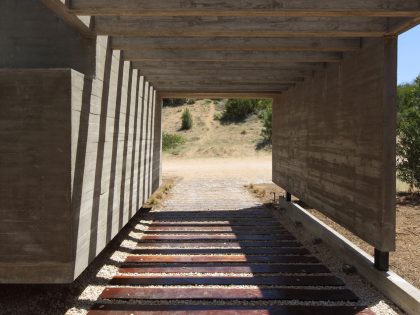 A Stunning Summer House with Concrete Pergola in the Woodland of Pinamar, Argentina by Besonias Almeida Arquitectos (4)