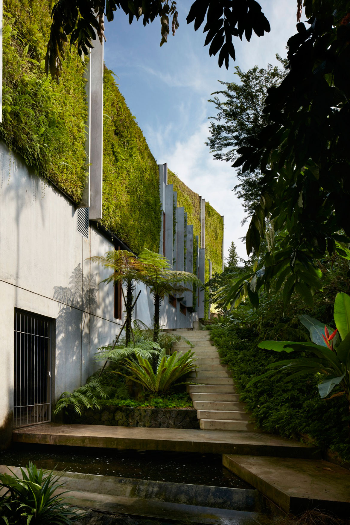 An Elegant Green Home Surrounded by Lush Tropical Landscaping in Singapore by Tsao & McKown Architects (4)