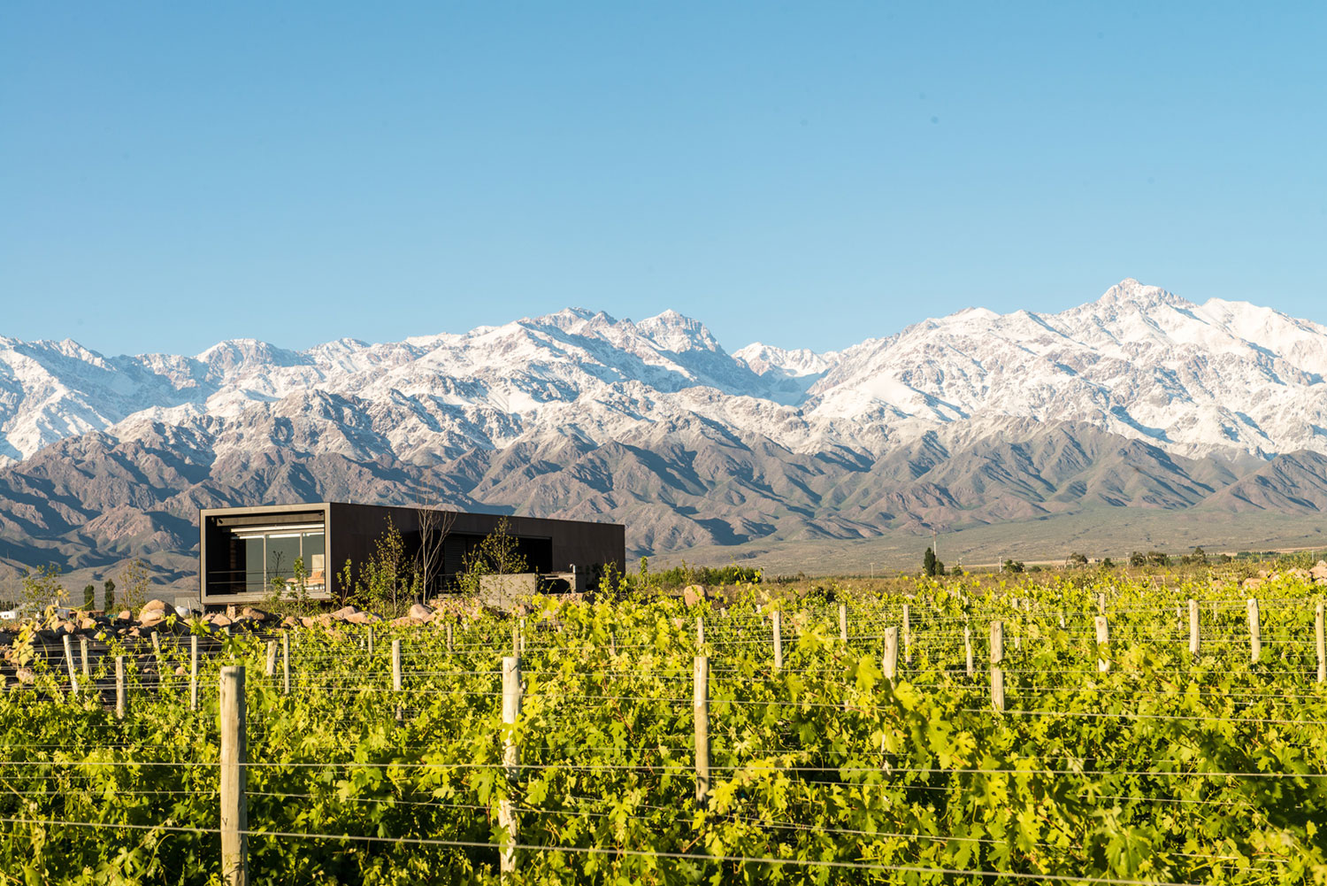 A Contemporary Home Enfolded by Steel, Concrete and Wood Elements in Tunuyán by A4estudio (4)