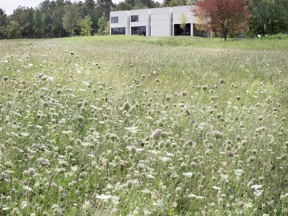 A Contemporary House Constructed of Wood and Metal-Clad for Two Art Collectors in Ancram by HHF Architects & Ai Weiwei (5)