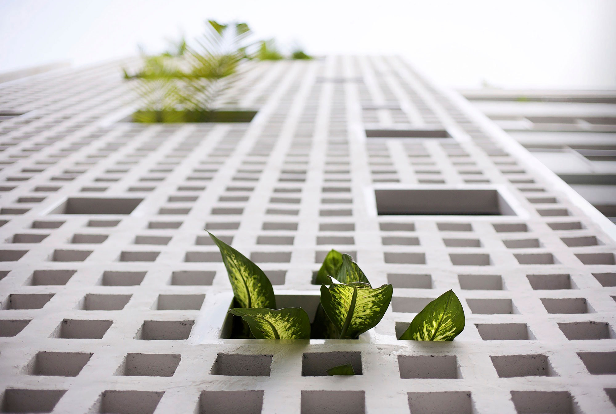 A Cozy and Comfortable Vertical Home for a Family of Four in Ho Chi Minh, Vietnam by Studio8 Vietnam (2)