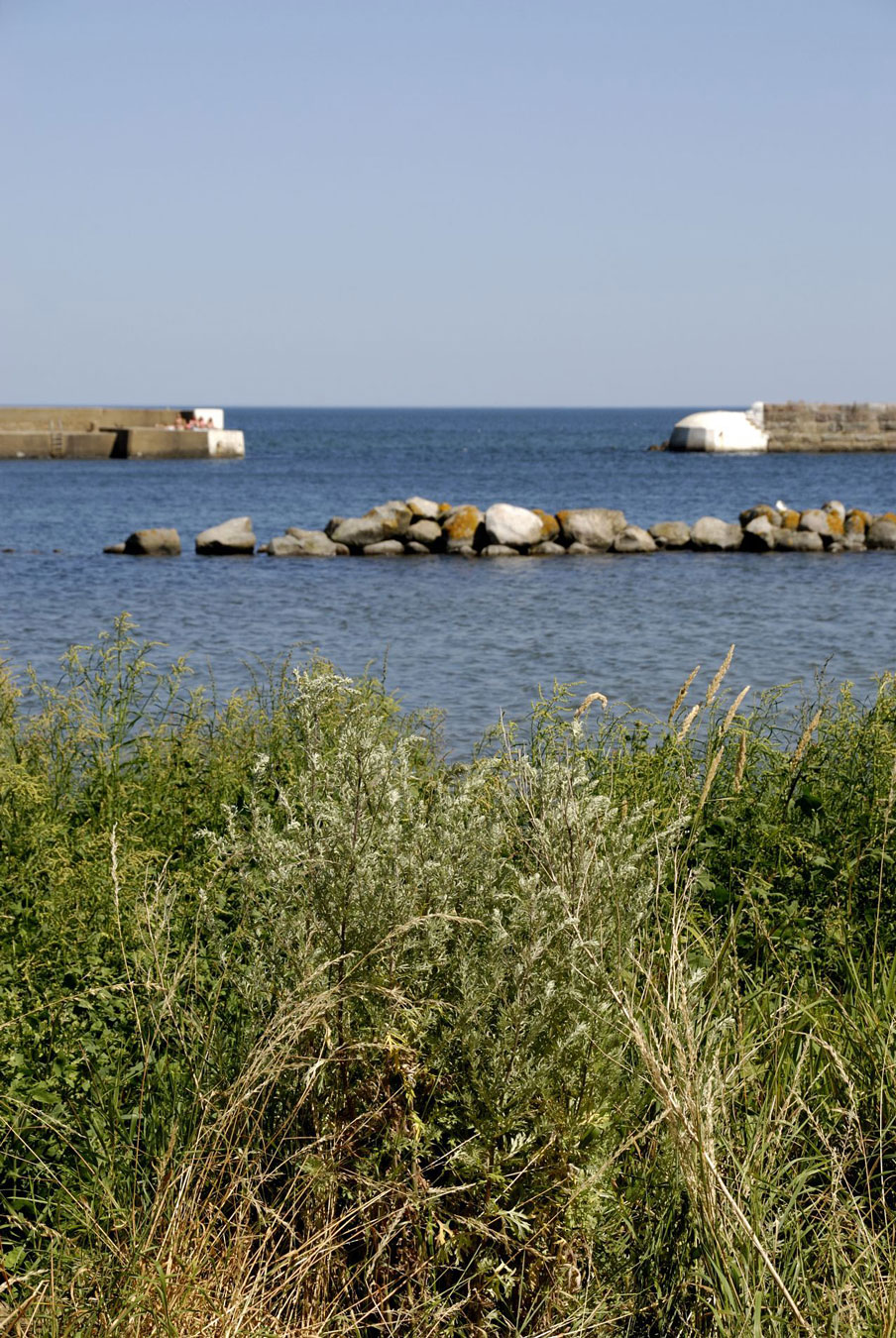 A Lofty Contemporary House with a Concrete Fireplace and High Ceilings in Kivik, Sweden by sandellsandberg arkitekter AB (5)