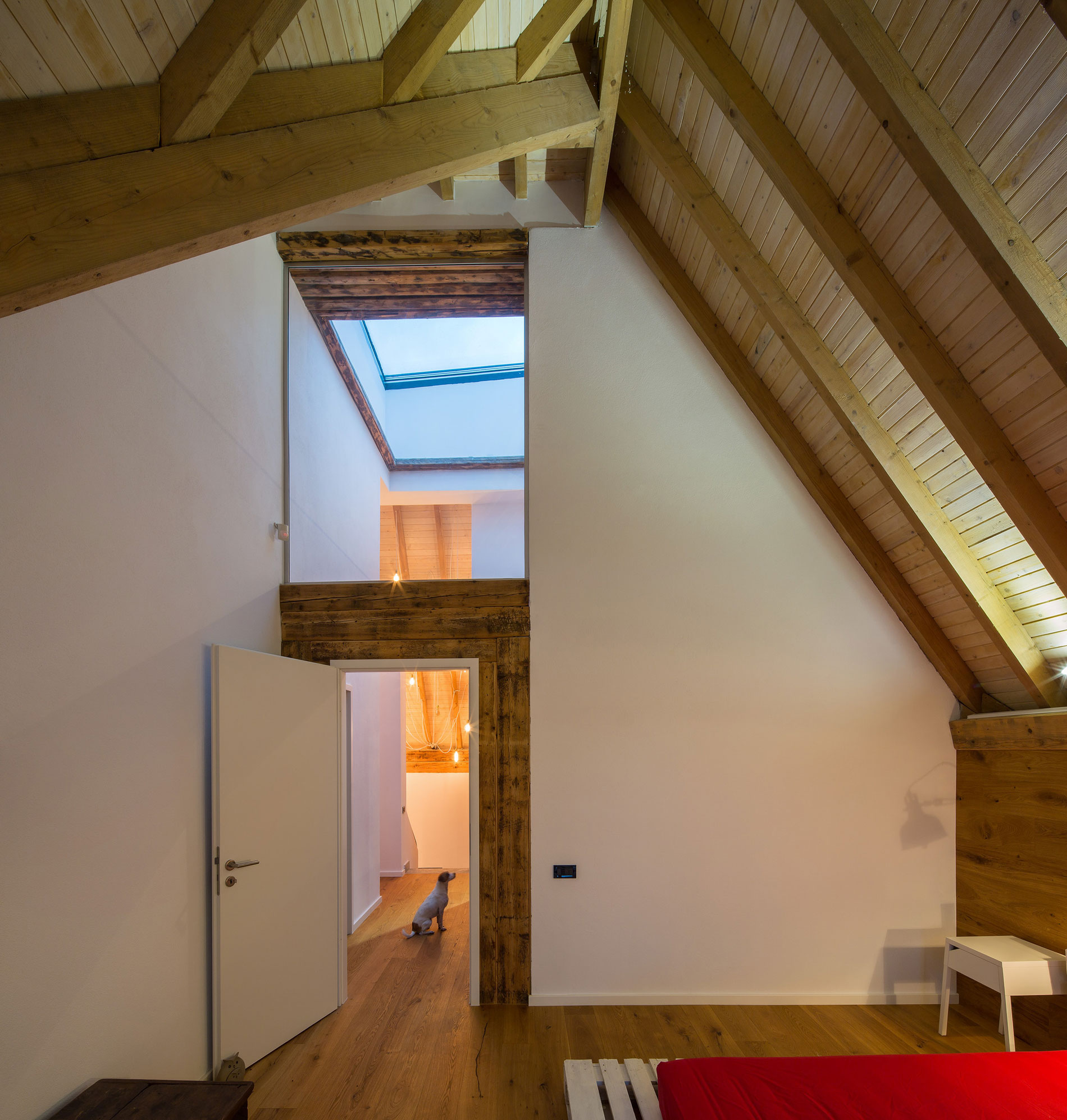 A Modern Reinterpretation of a Spacious and Traditional House in Otopeni, Romania by LAMA Arhitectura (16)