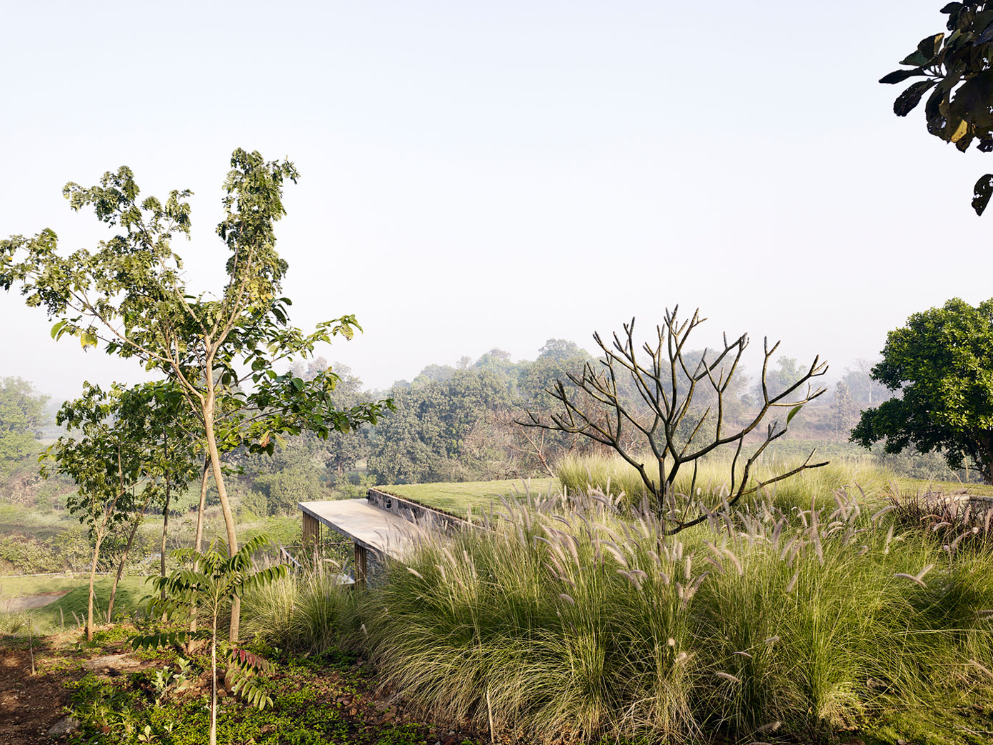 A Rustic Contemporary Home Nestled on Top of a Mountain in Harmony with Nature of Maharashtra by Architecture BRIO (6)