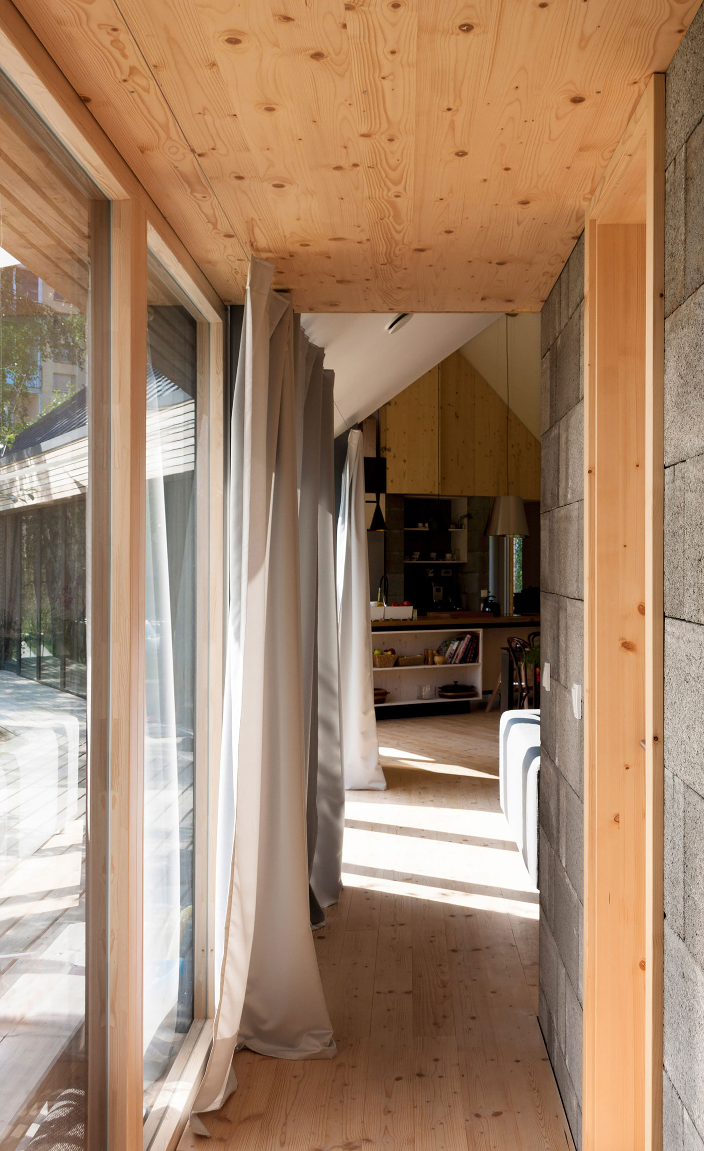 A Rustic Versatile House with Natural Light and Passive Solar Power in Slovakia by Martin Boles Architect (7)
