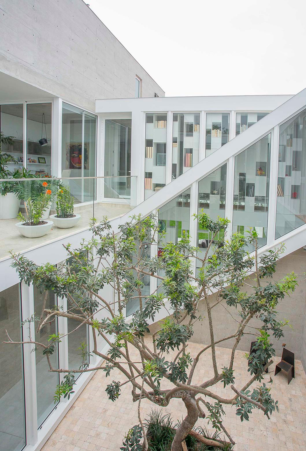 A Sleek Contemporary Home with Glass Walls and Windows in San Isidro by Cynthia Seinfield (6)