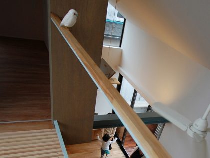 A Small yet Spacious House with Floating Treehouse in Tokyo by Yuki Miyamoto Architect (5)