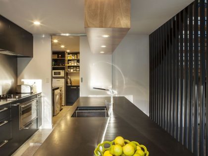 A Stunning Black Modern House with Glass Roof and Huge Windows in Auckland, New Zealand by BOX Living (6)