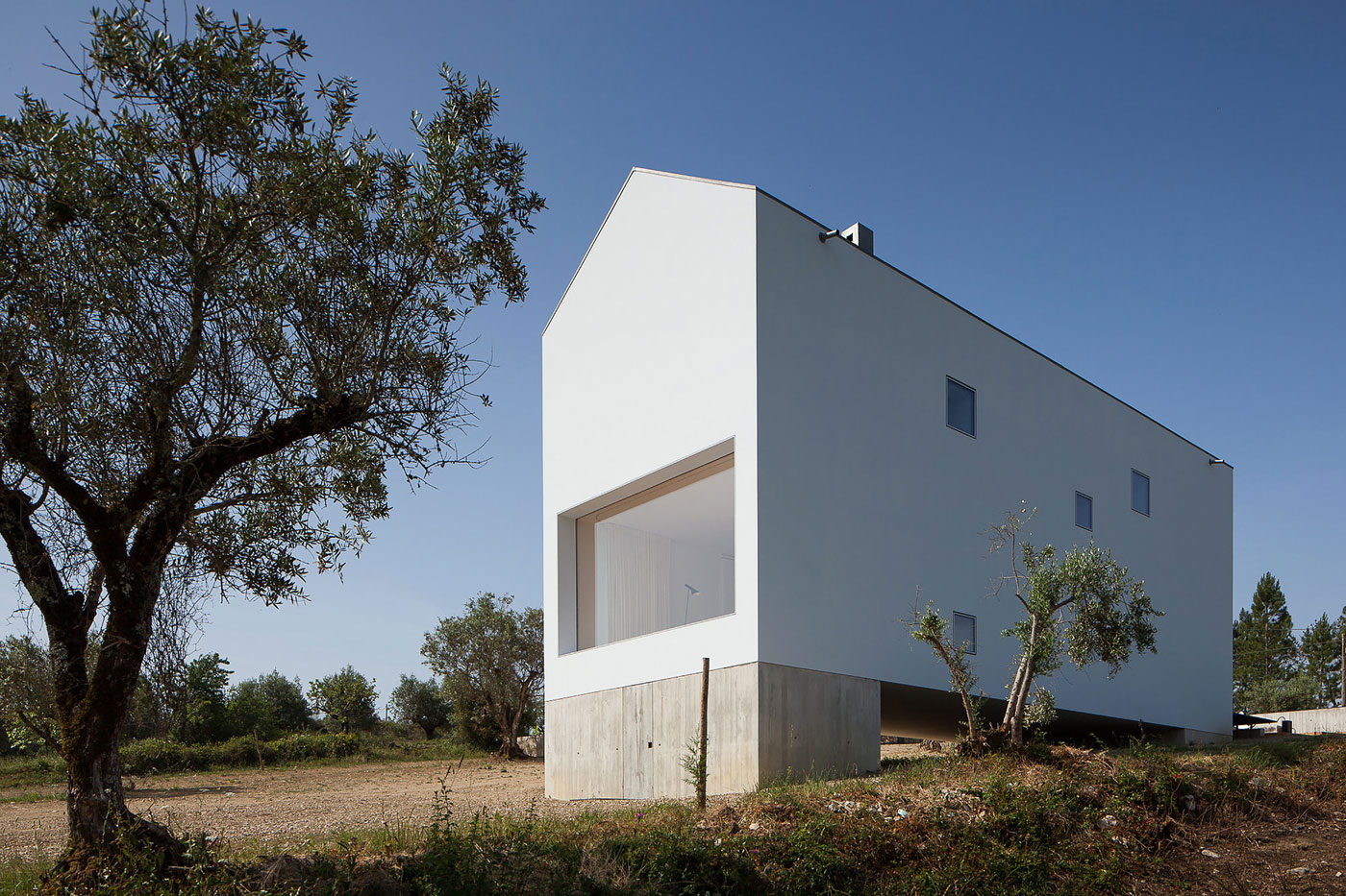 A Stunning Concrete Home Surrounded by Fields and Vegetation in Fonte Boa by João Mendes Ribeiro (1)