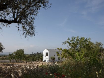 A Stunning Concrete Home Surrounded by Fields and Vegetation in Fonte Boa by João Mendes Ribeiro (10)