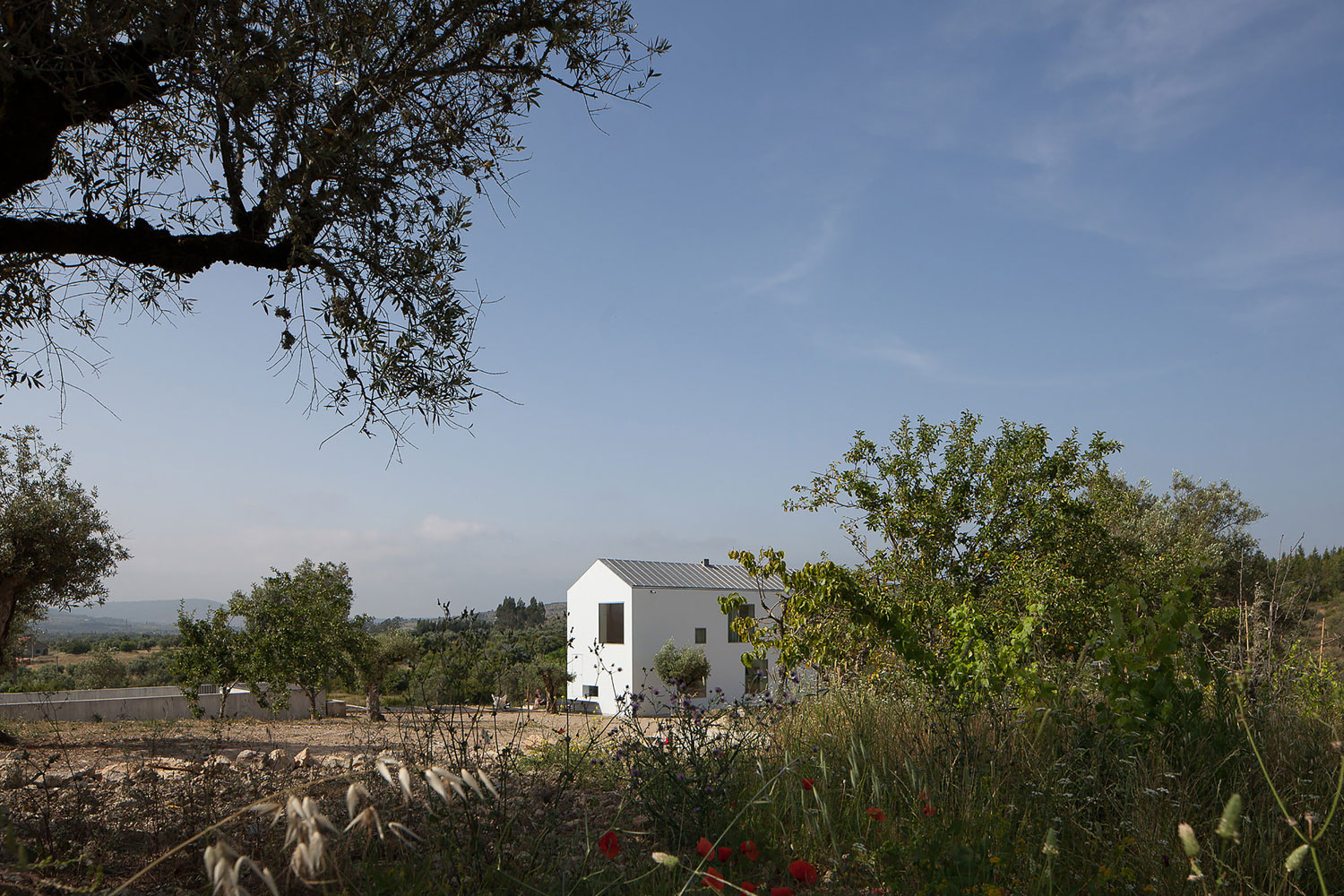 A Stunning Concrete Home Surrounded by Fields and Vegetation in Fonte Boa by João Mendes Ribeiro (10)