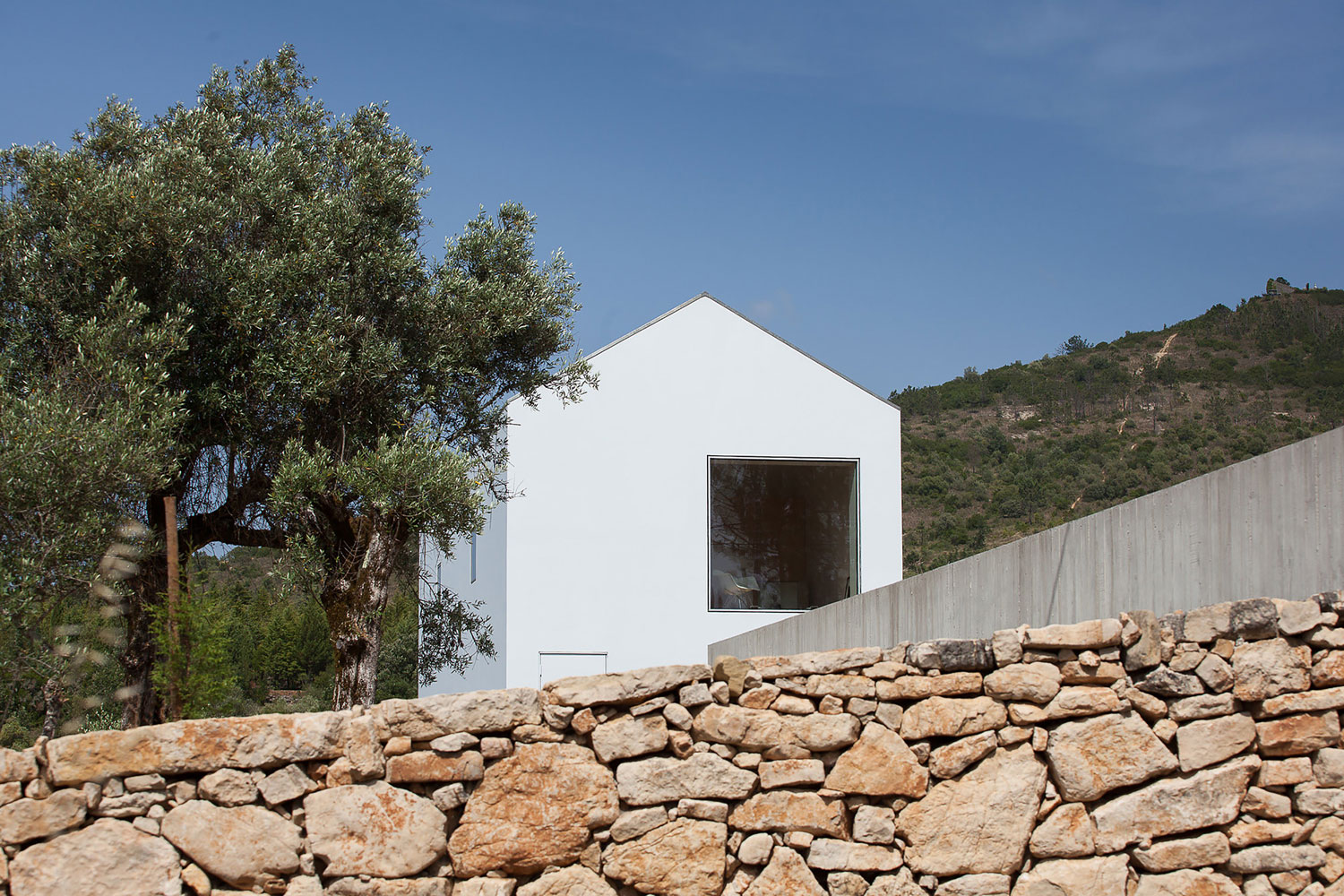 A Stunning Concrete Home Surrounded by Fields and Vegetation in Fonte Boa by João Mendes Ribeiro (2)