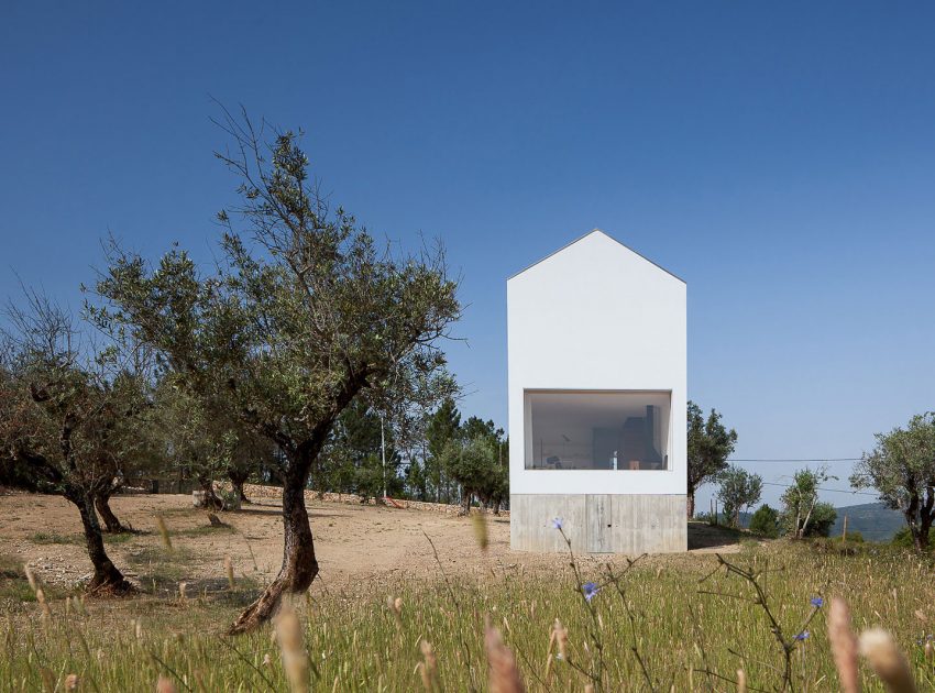 A Stunning Concrete Home Surrounded by Fields and Vegetation in Fonte Boa by João Mendes Ribeiro (5)