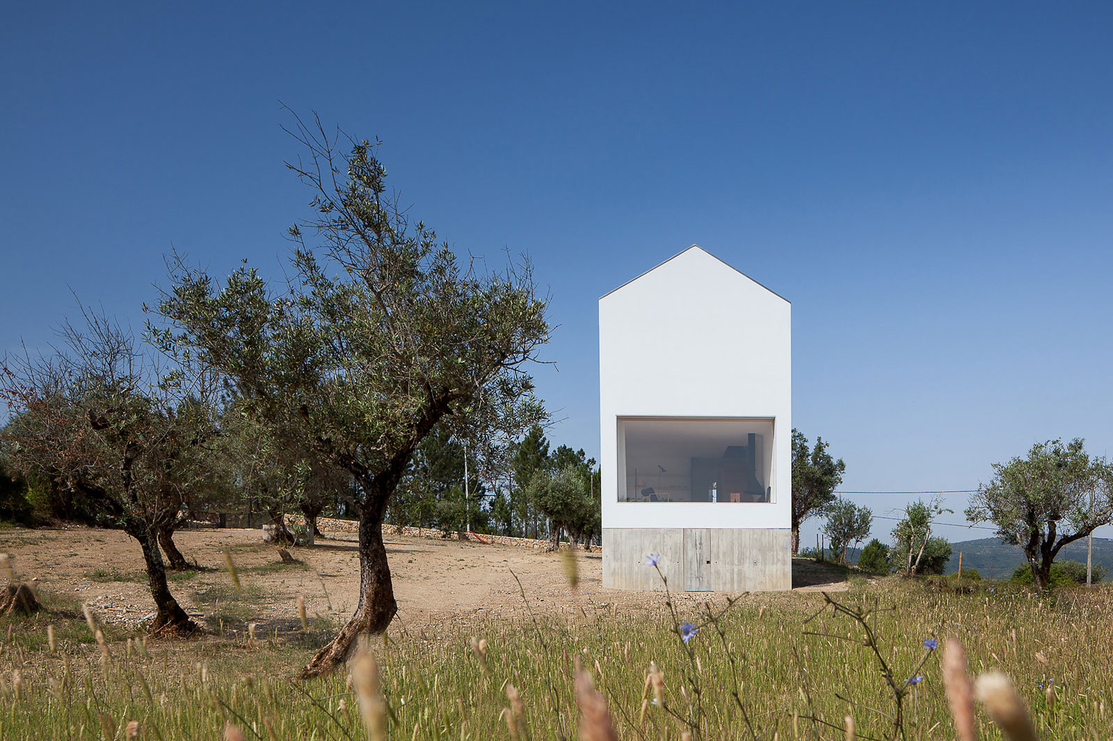 A Stunning Concrete Home Surrounded by Fields and Vegetation in Fonte Boa by João Mendes Ribeiro (5)