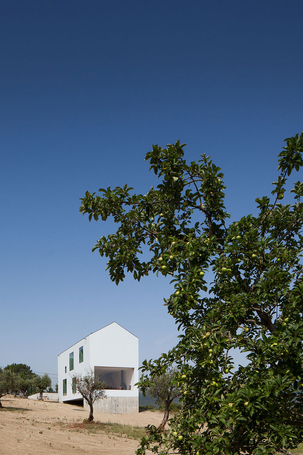 A Stunning Concrete Home Surrounded by Fields and Vegetation in Fonte Boa by João Mendes Ribeiro (7)