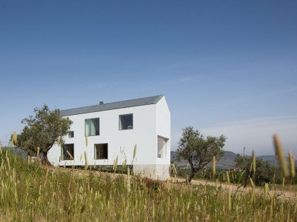 A Stunning Concrete Home Surrounded by Fields and Vegetation in Fonte Boa by João Mendes Ribeiro (8)