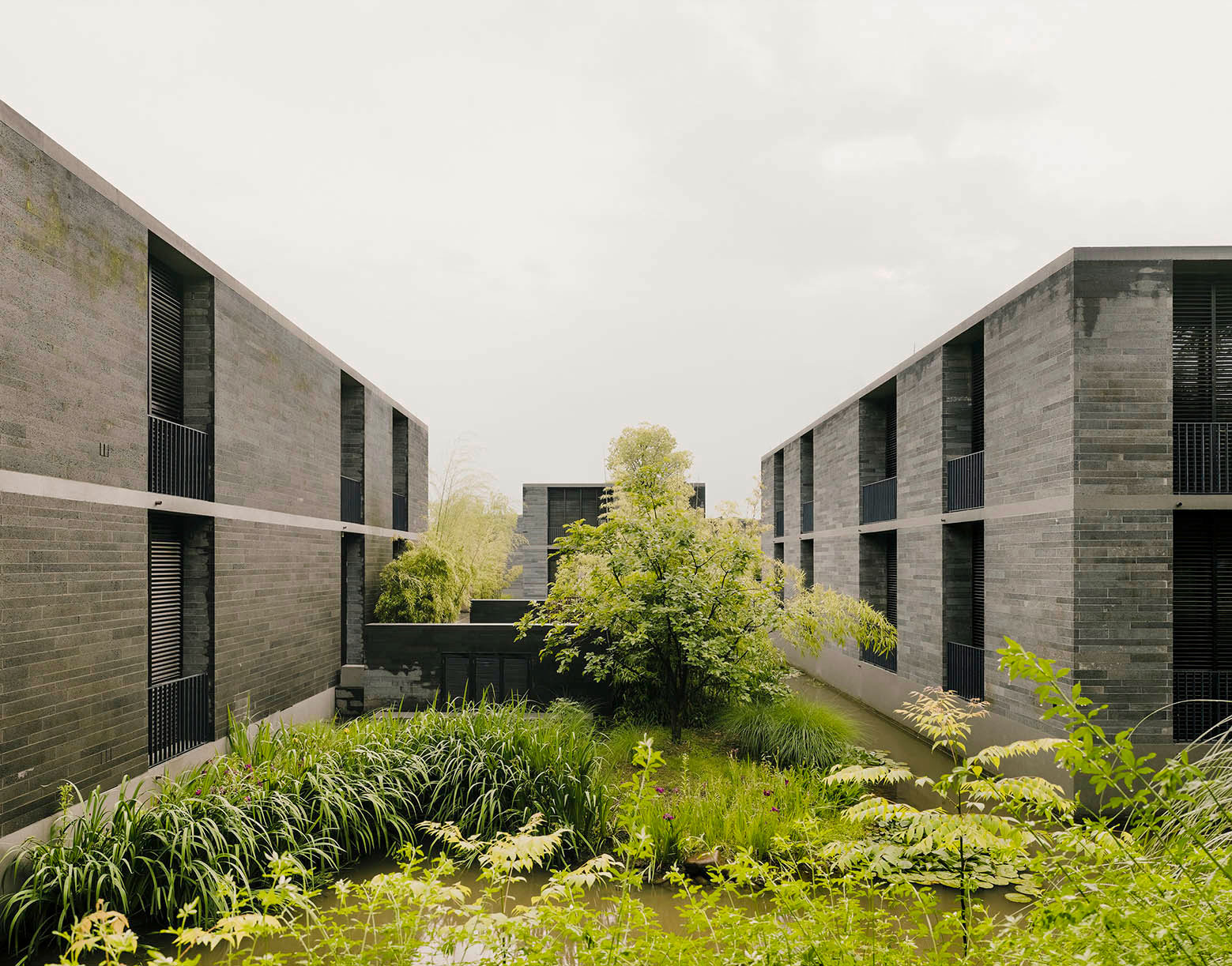 A Stunning Floating House Surrounded by a Water Garden in Hangzhou, China by David Chipperfield Architects (13)