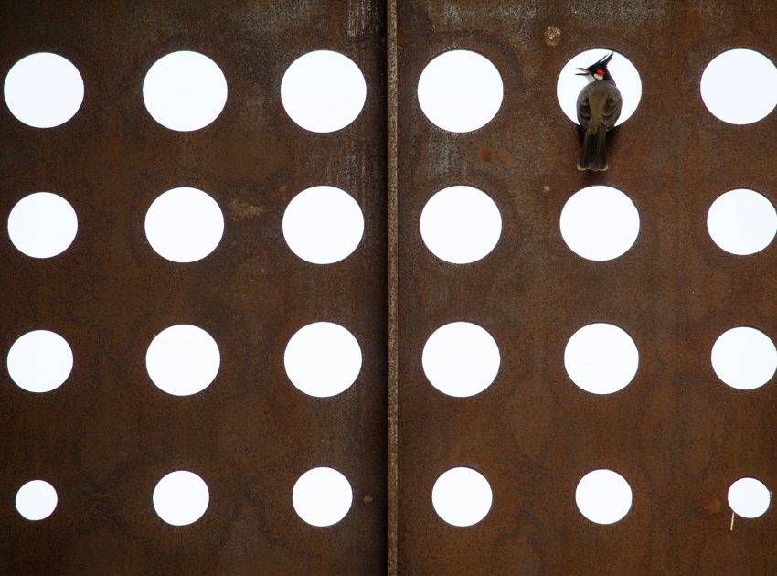 A Stunning and Spacious Home Framed by Perforated Corten Steel Walls in Kerala, India by LIJO.RENY Architects (3)