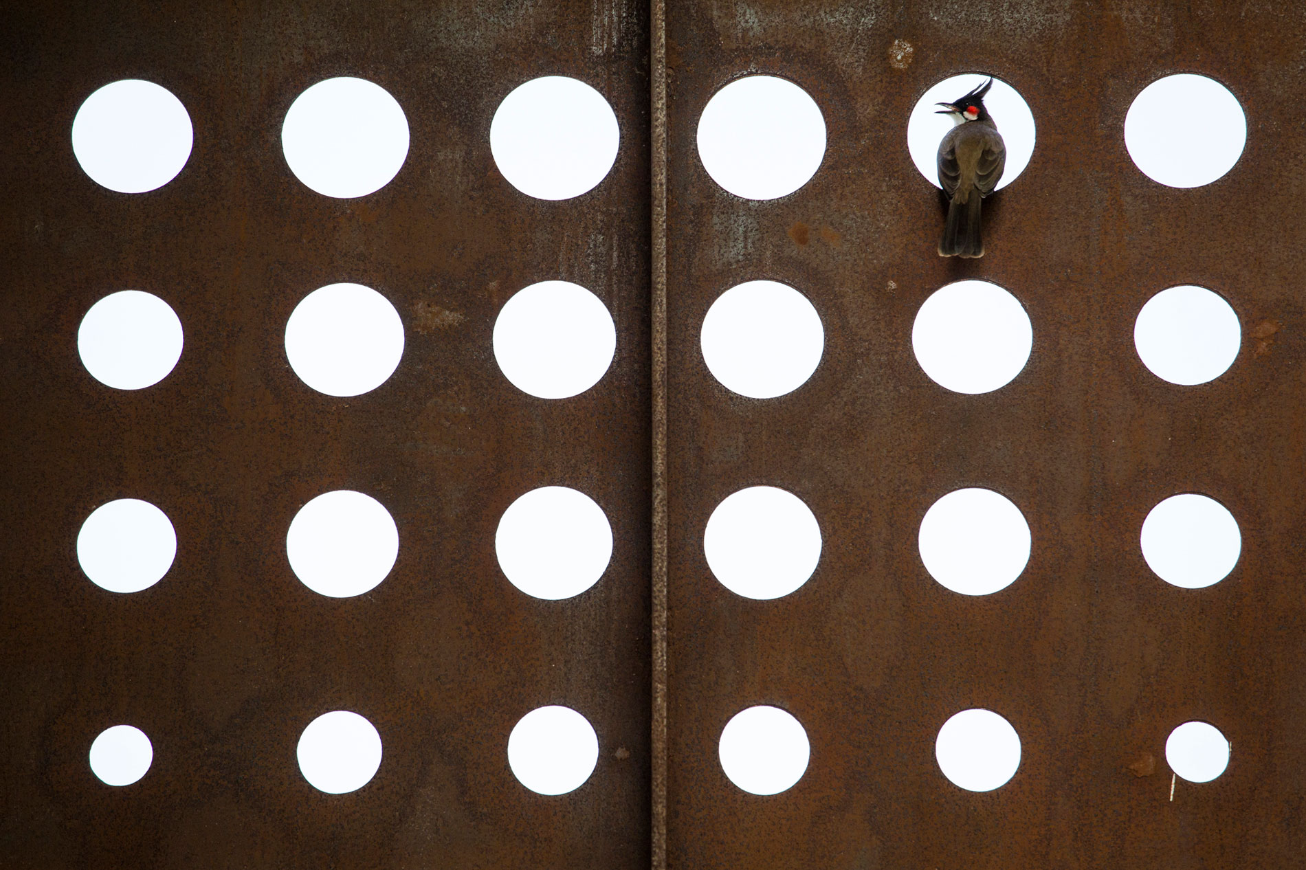 A Stunning and Spacious Home Framed by Perforated Corten Steel Walls in Kerala, India by LIJO.RENY Architects (3)