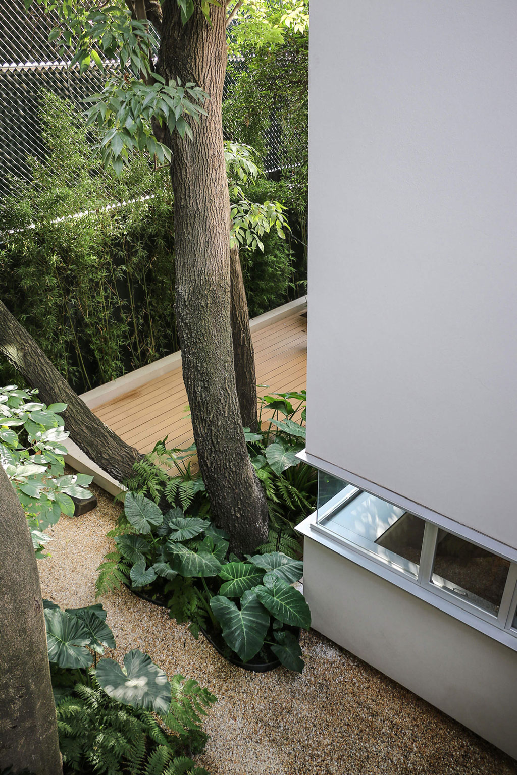 A Stunning Contemporary Home with a Large Bookshelf in Mexico City by Paul Cremoux Studio (10)