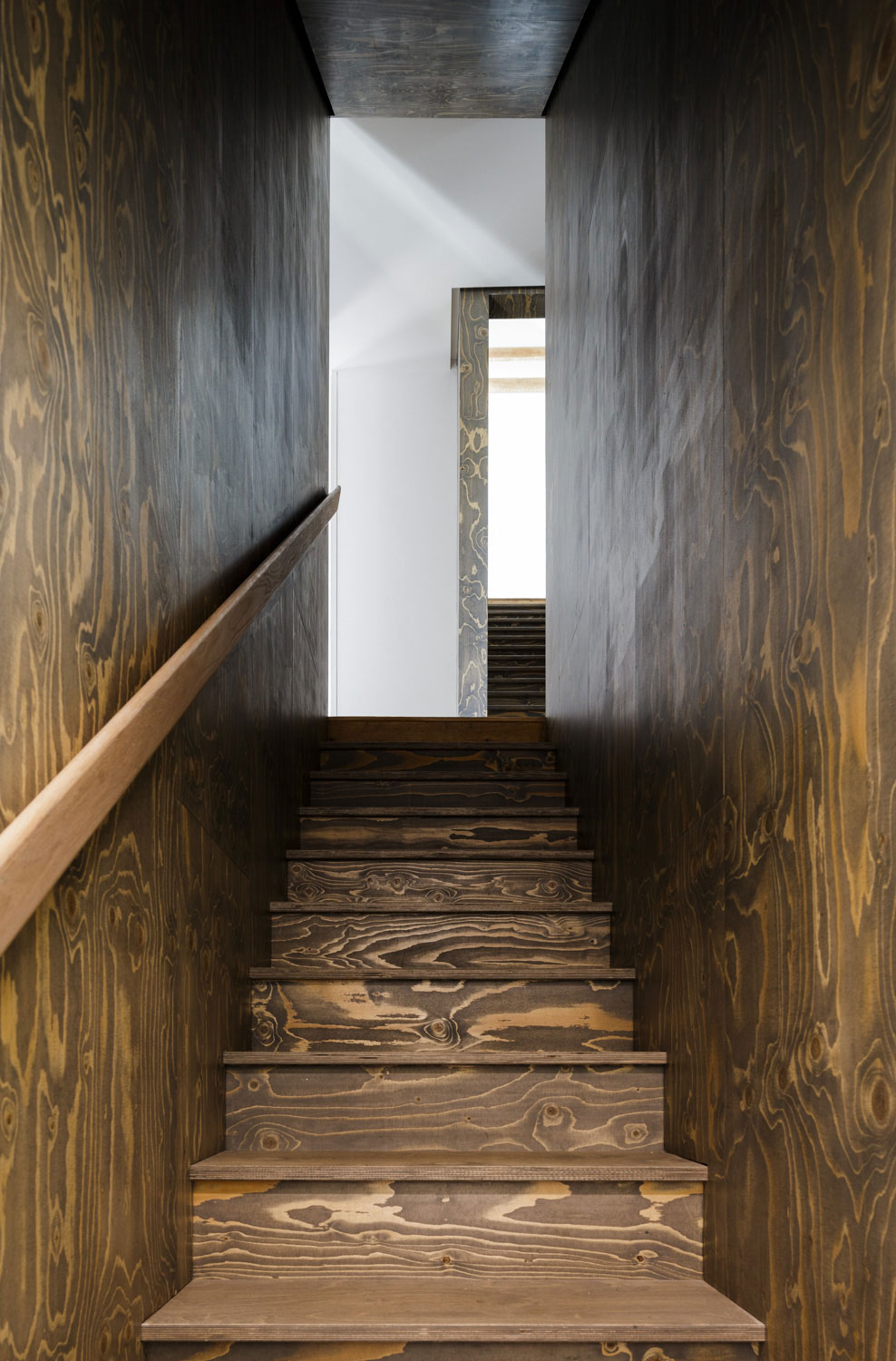 A Two Semi-Detached Houses Converted into One Family Home in Oxford by Delvendahl Martin Architects (11)