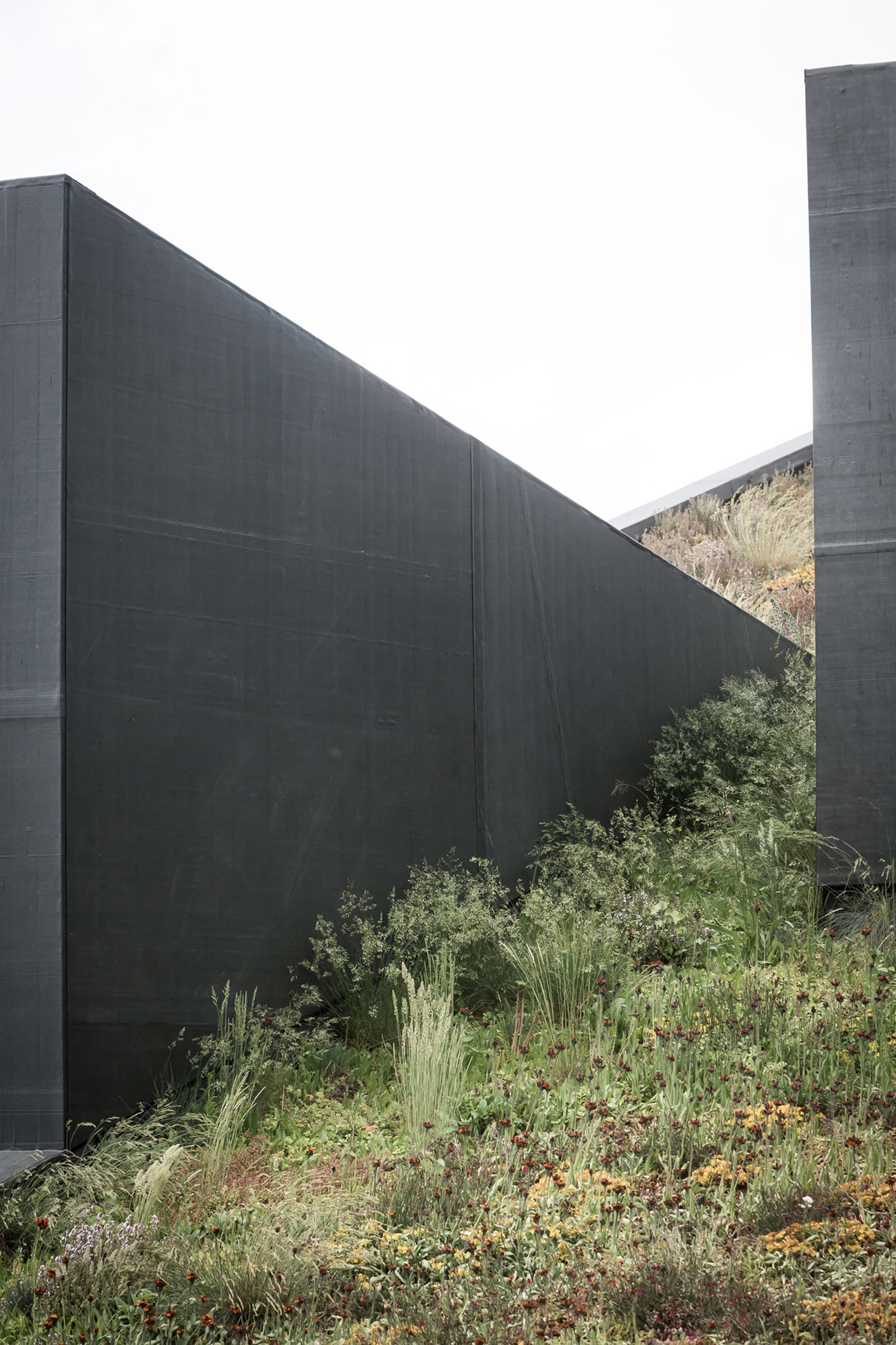 A Unique Modern Home with Sloping Green Roof and Split-Level Interior in Maldegem, Belgium by OYO (6)