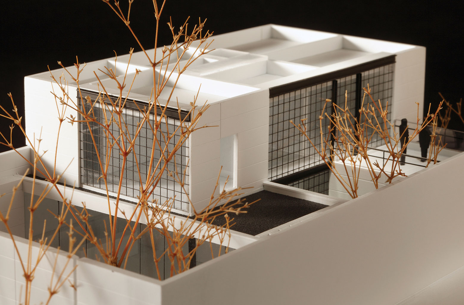 A Warm Contemporary Home for a Music Producer and Artist in Mexico City by CCA Centro de Colaboración Arquitectónica (25)