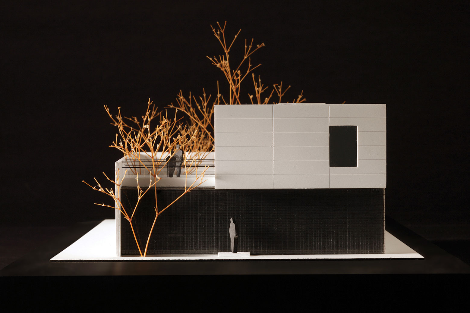 A Warm Contemporary Home for a Music Producer and Artist in Mexico City by CCA Centro de Colaboración Arquitectónica (26)