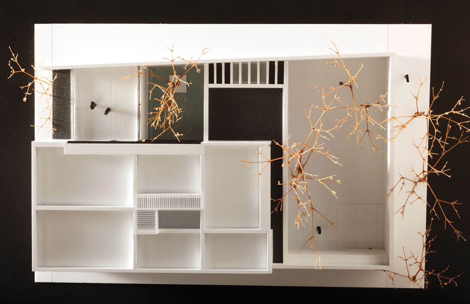 A Warm Contemporary Home for a Music Producer and Artist in Mexico City by CCA Centro de Colaboración Arquitectónica (27)