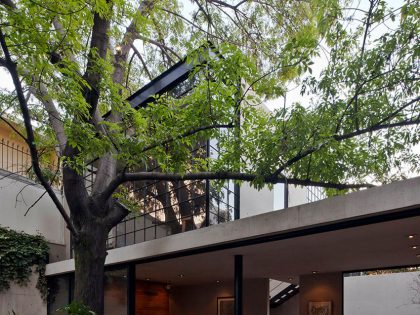 A Warm Contemporary Home for a Music Producer and Artist in Mexico City by CCA Centro de Colaboración Arquitectónica (7)