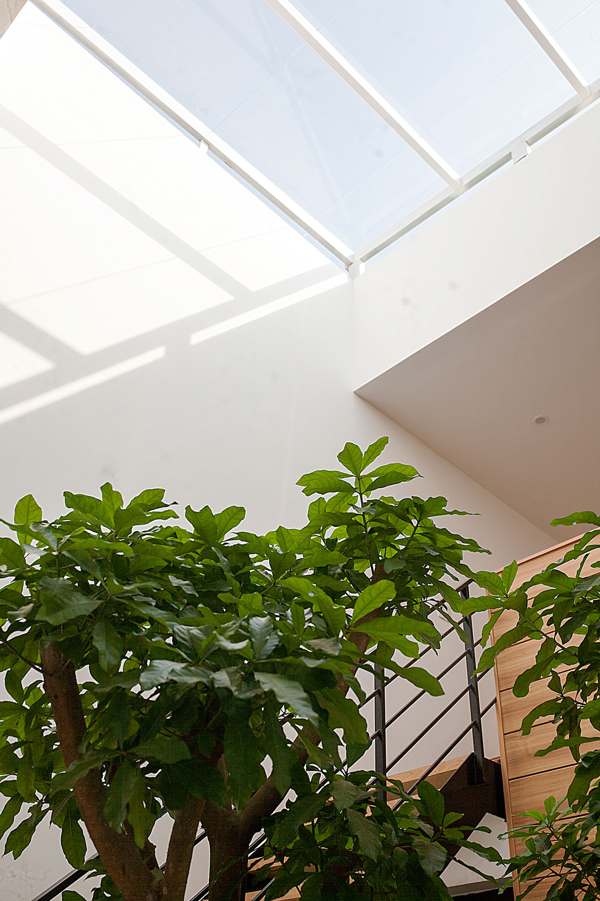 A Warm and Spacious House with Plenty of Natural Light in Dak Lak Province, Vietnam by 7A architecture studio (10)