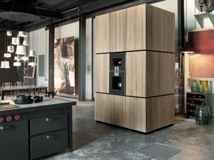An Eclectic and Stylish Apartment Wrapped on Dark and Dramatic Color in Milan by Silvio Stefani (3)