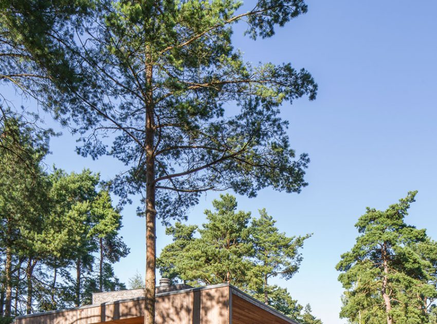 An Elegant Contemporary Villa Surrounded by Tall Pine Trees in Höllviken, Sweden by Johan Sundberg (2)