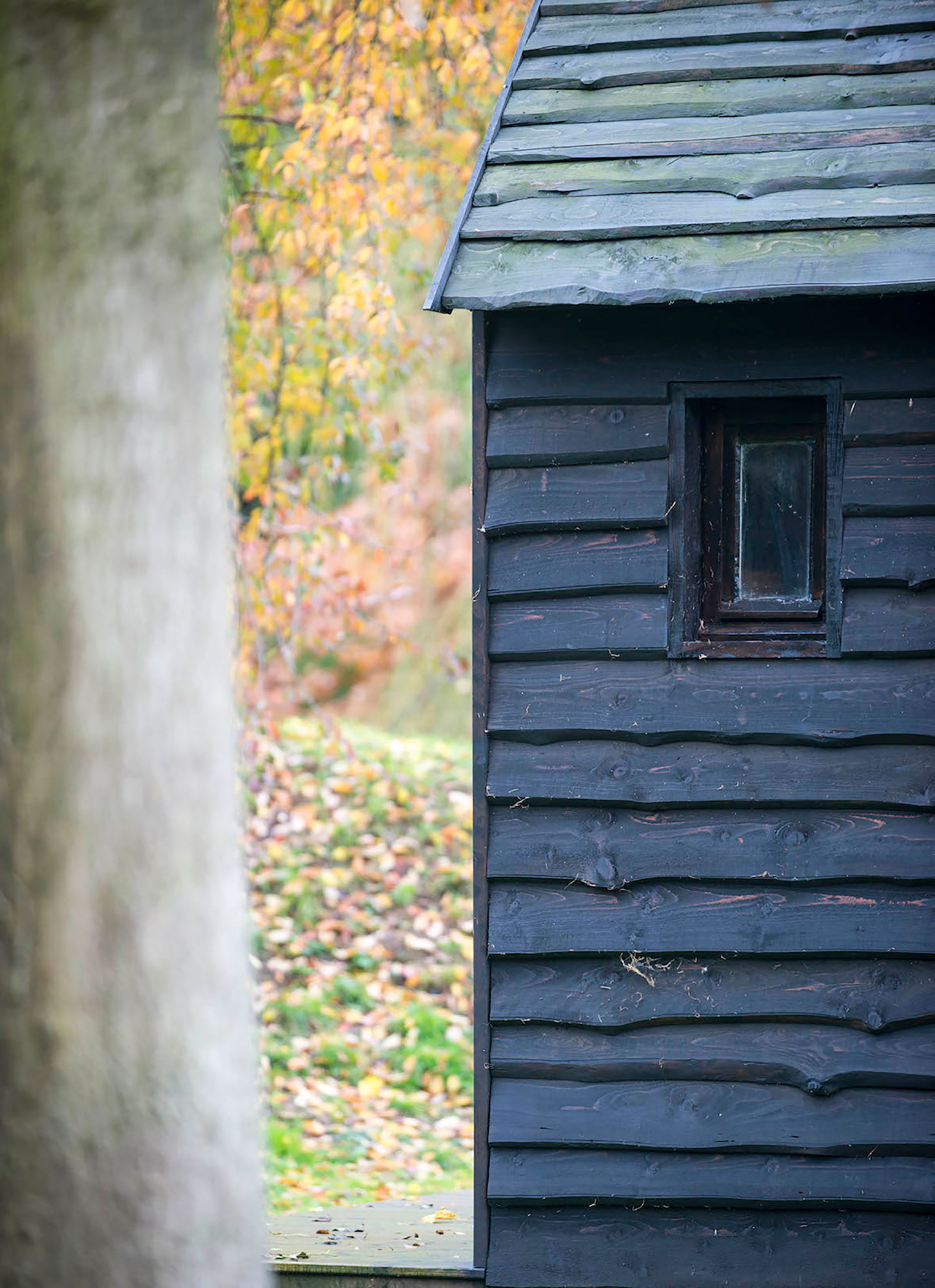 An Elegant Woodland Cabin with an All-Black Exterior in Belgium by De Rosee Sa Architects (12)