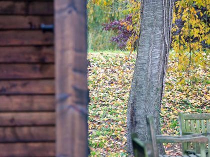 An Elegant Woodland Cabin with an All-Black Exterior in Belgium by De Rosee Sa Architects (20)