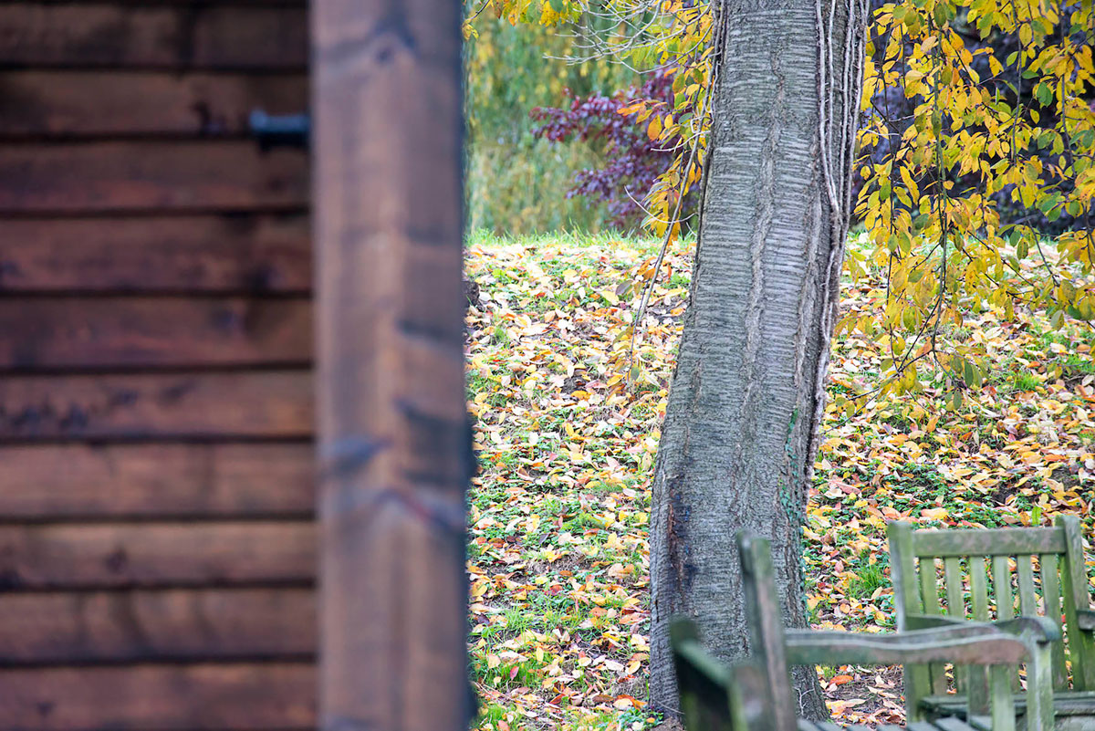An Elegant Woodland Cabin with an All-Black Exterior in Belgium by De Rosee Sa Architects (20)
