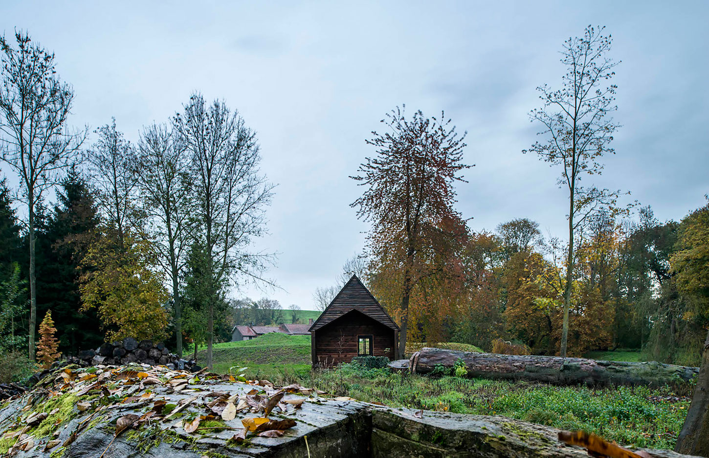 An Elegant Woodland Cabin with an All-Black Exterior in Belgium by De Rosee Sa Architects (7)