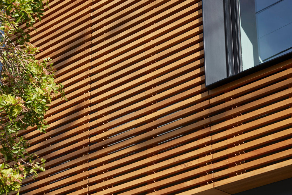 An Old Cottage Transformed into a Contemporary Home for a Research Scientist in San Francisco by Studio Vara (4)