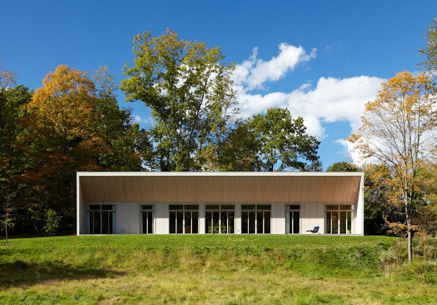 A Beautiful Contemporary Home for a Young Couple in Harlemville by Incorporated Architecture & Design (1)