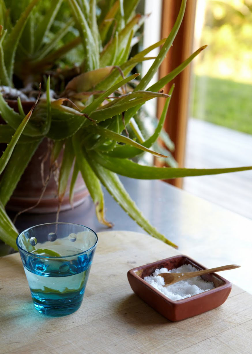 A Beautiful Contemporary Home for a Young Couple in Harlemville by Incorporated Architecture & Design (23)