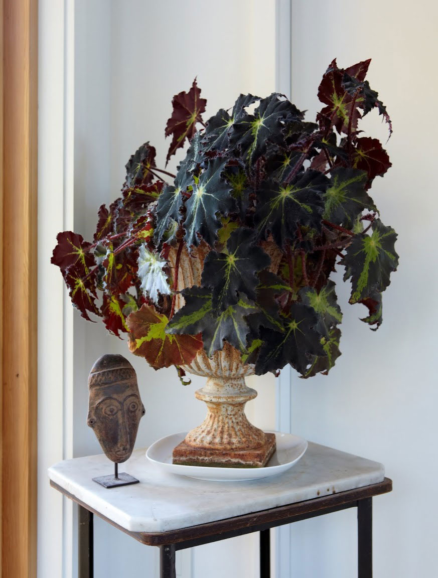 A Beautiful Contemporary Home for a Young Couple in Harlemville by Incorporated Architecture & Design (28)