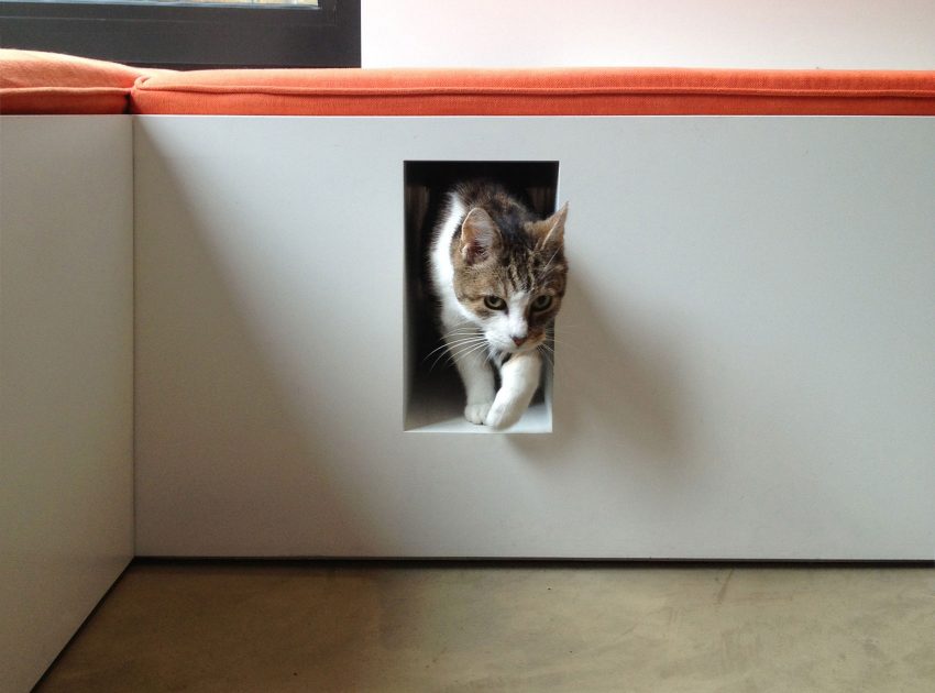 A Bright Contemporary Home with Plenty of Natural Light in London, England by Platform 5 Architects (3)