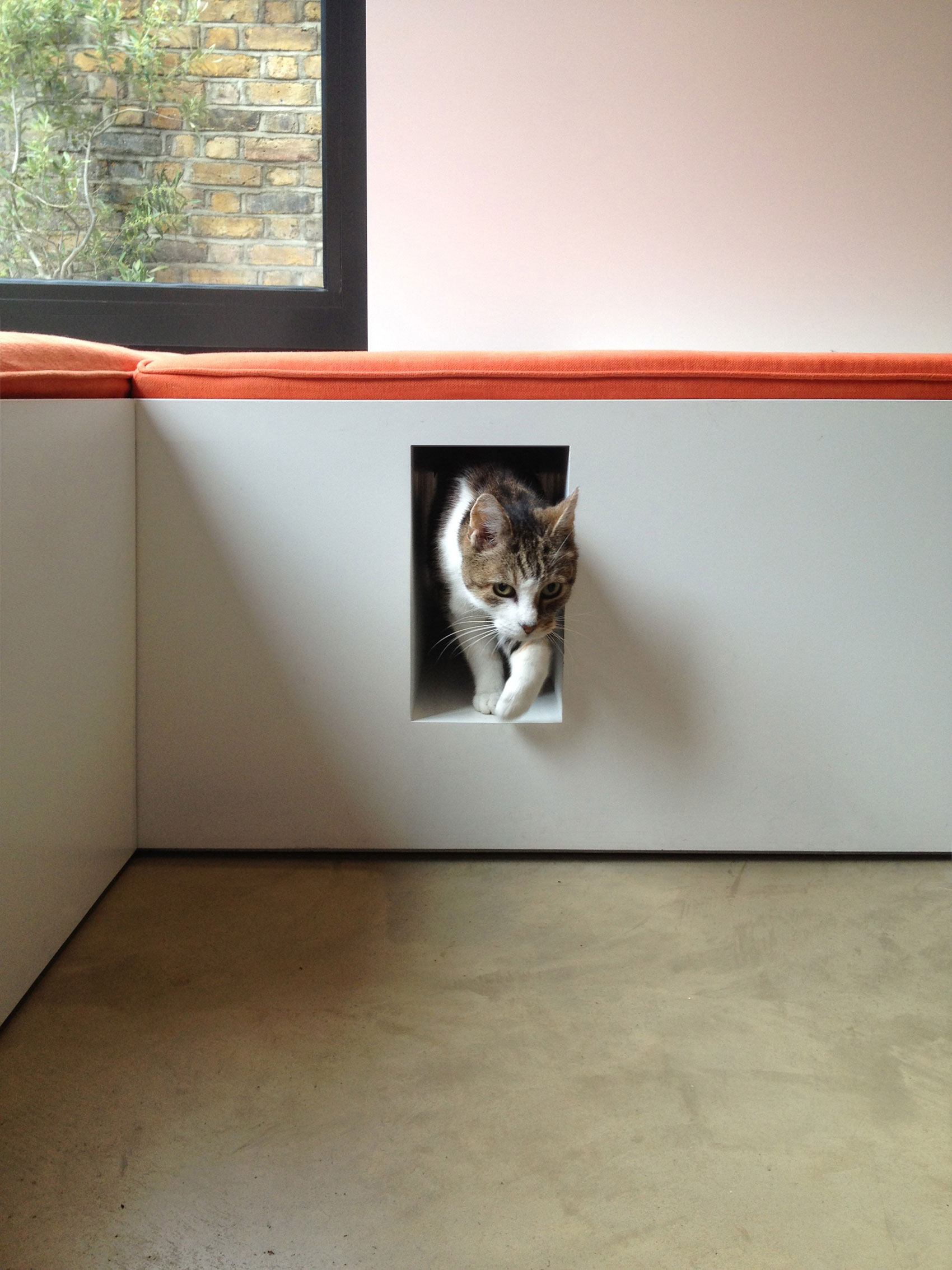 A Bright Contemporary Home with Plenty of Natural Light in London, England by Platform 5 Architects (3)