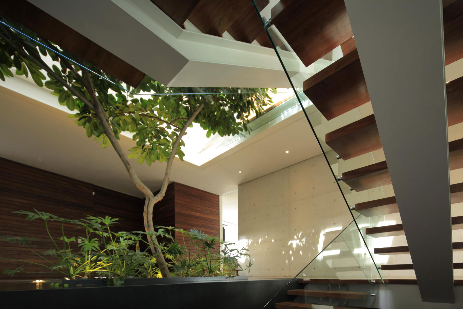 A Bright and Beautiful Modern House From Glass, Wood and Concrete in Guadalajara, México by Hernandez Silva Arquitectos (9)