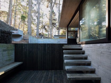 A Contemporary Concrete House Nestled in the Forest Glade with Natural Light of Buenos Aires by Luciano Kruk and María Victoria Besonías (2)