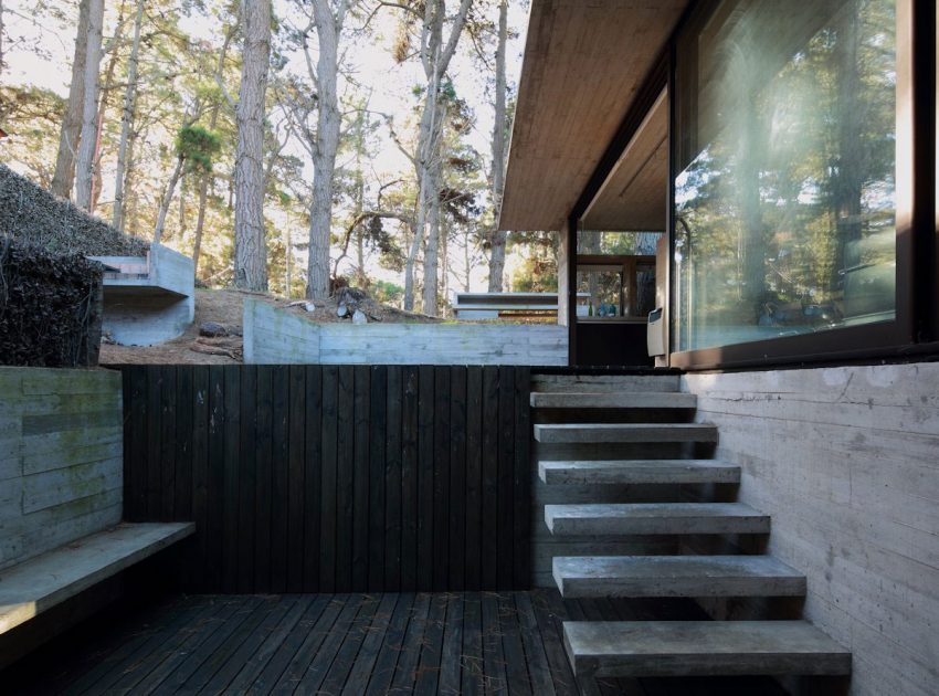 A Contemporary Concrete House Nestled in the Forest Glade with Natural Light of Buenos Aires by Luciano Kruk and María Victoria Besonías (2)