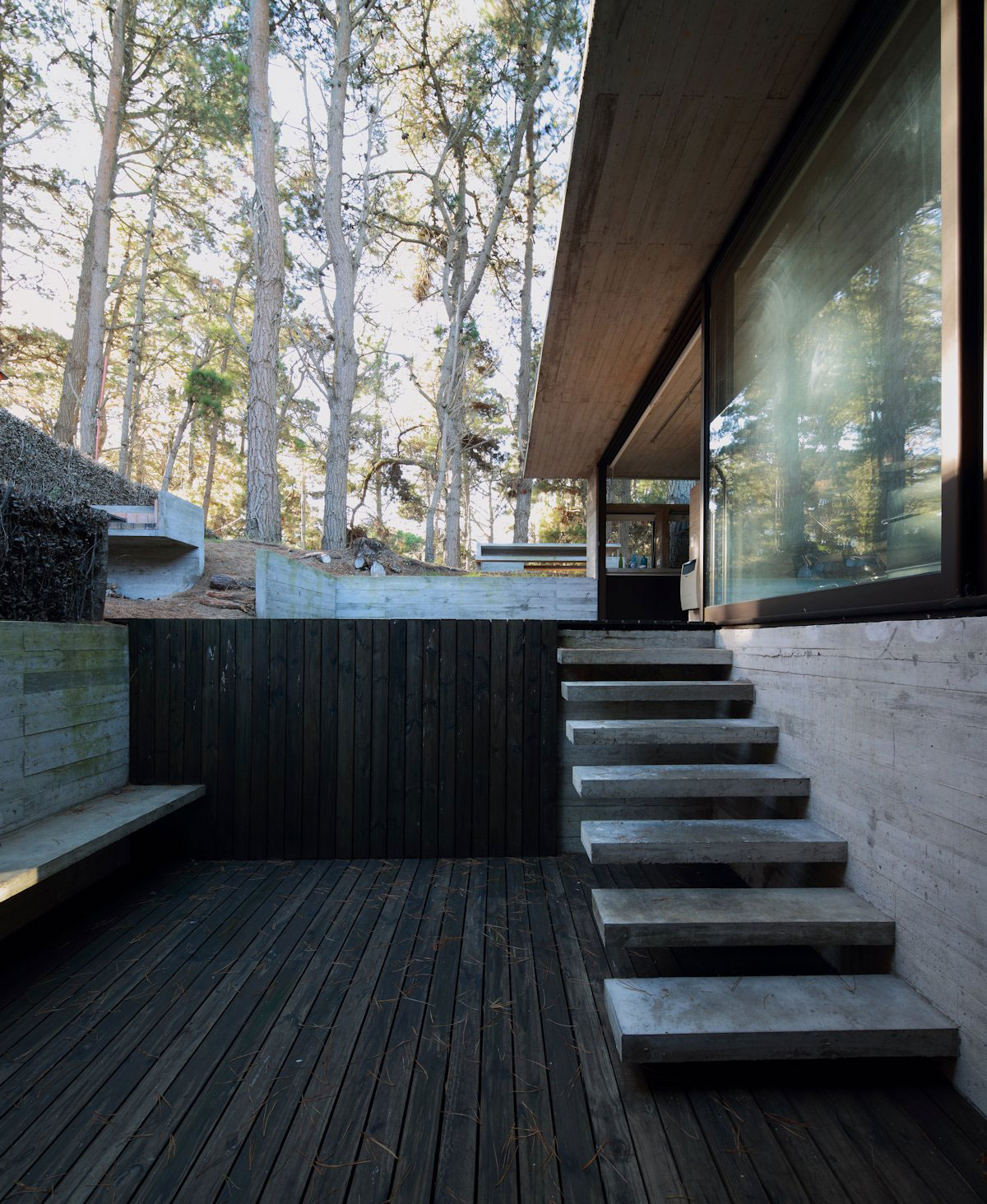 A Contemporary Concrete House Nestled in the Forest Glade with Natural Light of Buenos Aires by Luciano Kruk and María Victoria Besonías (2)