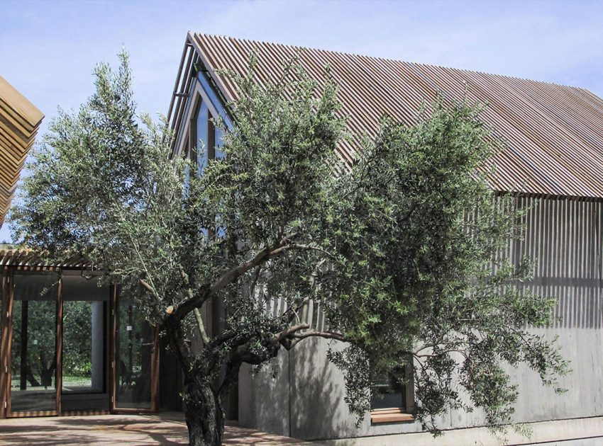 A Luminous and Spacious Home for a Retired Couple in Mordoğan, Turkey by Onur Teke (4)